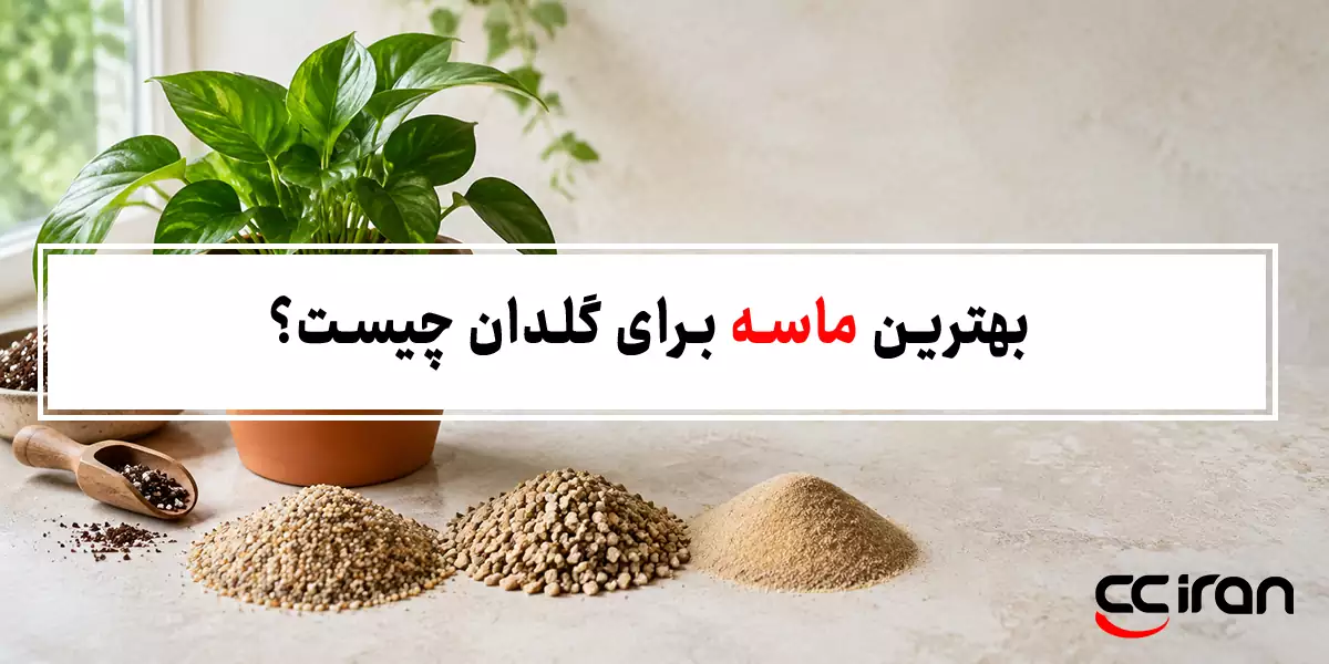بهترین ماسه برای گلدان چیست؟
